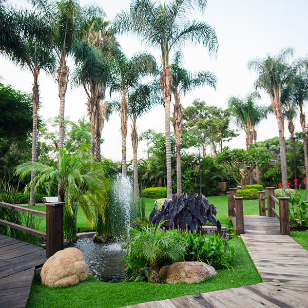Jardín Punta Luna Morelos